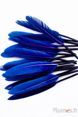 Oie Lame - 10-15 cm - bleu nuit-violet
